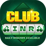 Bingo 101 Apk Download